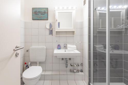 a bathroom with a toilet and a sink and a shower at Lütte Brise in Olsdorf