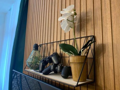 a shelf with a plant and a vase on it at Стильная квартирка у моря in Batumi