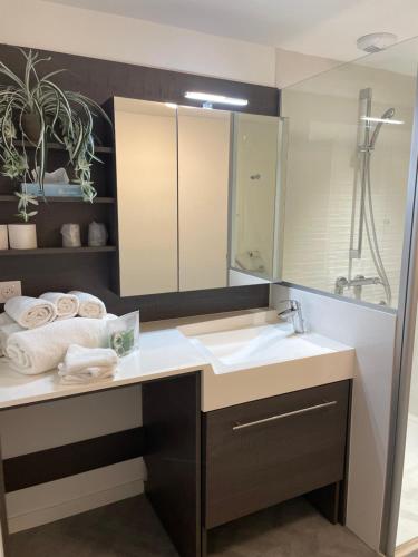 een badkamer met een wastafel en een spiegel bij DOMITYS LES TOURMALINES in Carpentras