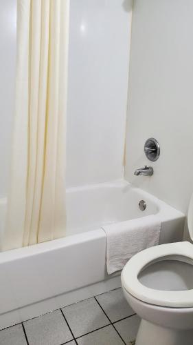 a bathroom with a white toilet and a shower at Starway Inn in Lansing