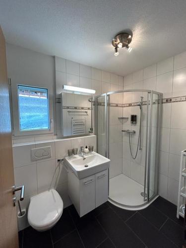 a bathroom with a shower and a sink and a toilet at Apartments Residenz Iris in Leukerbad