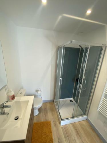 een badkamer met een douche, een wastafel en een toilet bij gîte avec chambre mezzanine pour 2 pers in Bréhal