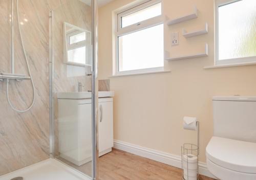 a bathroom with a shower and a toilet at Avondale in Crackington Haven