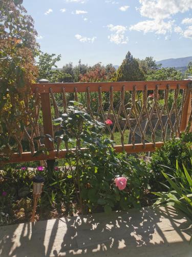 Κήπος έξω από το Guest House Casa Cassien