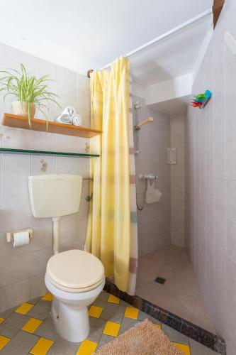 a bathroom with a toilet and a shower at La Veranda in Torre Grande