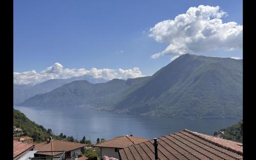 Dizzasco