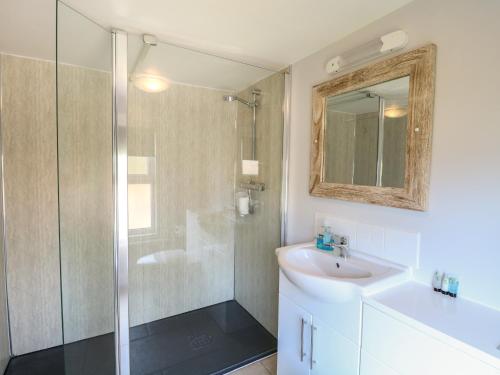 uma casa de banho com um chuveiro, um lavatório e um espelho. em Riverside Cottage em Norwich