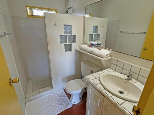 a bathroom with a sink and a toilet and a mirror at Sherwood Park Apartments in Carnbee Village