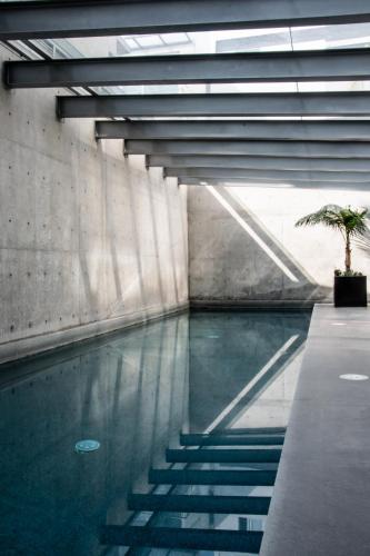 a swimming pool with a palm tree in a building at Japandi style apartment in Polanco in Mexico City