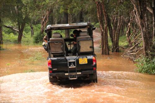 a jeep driving through a river in the mud at Big Game - Wilpattu by Eco Team in Wilpattu