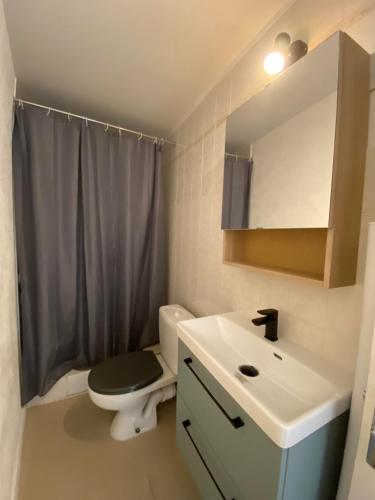 a bathroom with a toilet and a sink and a mirror at La maison d'Auguste in Blaudeix