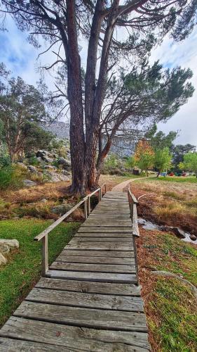 a wooden boardwalk leading to a tree on a field at Fairfield Cottages in Ceres