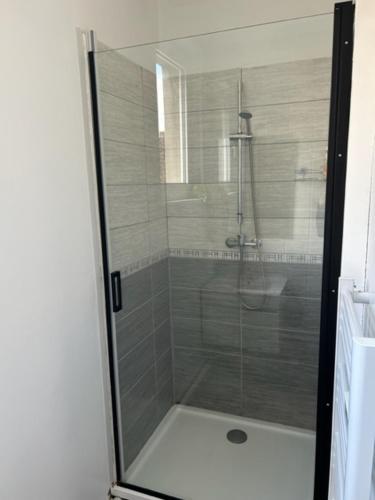 a shower with a glass door in a bathroom at Richelieu 2 chez Adrien in Saint-Quentin