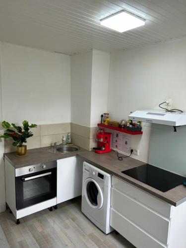 a kitchen with a sink and a washing machine at Richelieu 2 chez Adrien in Saint-Quentin