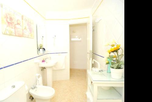 a bathroom with a toilet and a sink at 2 bedrooms appartement with wifi at San Cristobal de La Laguna in Las Lagunas