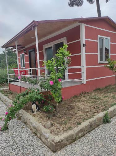 a red house with a cat standing in front of it at Kanyon Yaşam Evleri in Manavgat