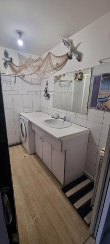 une salle de bain avec un lavabo et une machine à laver dans l'établissement L'indéniable, à Sète