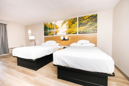 Postel nebo postele na pokoji v ubytování Days Inn by Wyndham Cincinnati East