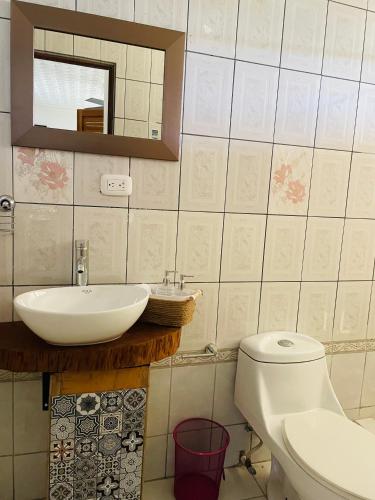 a bathroom with a sink and a toilet and a mirror at Casa Mano de Tigre in Potrerillos