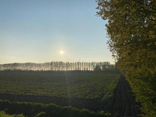 a field with the sun in the sky and trees at huisje in zeeland helemaal gerenoveerd in Sint Annaland
