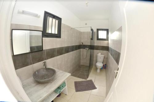 a bathroom with a sink and a toilet at Maison charmante avec vue sur la mer à Saint-Joseph - 33m² in Saint-Joseph