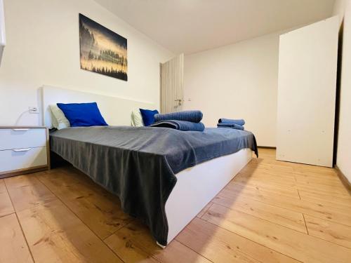 a bedroom with a large bed with blue pillows at Red app by Alex Rafel, close to the bus station in Zagreb