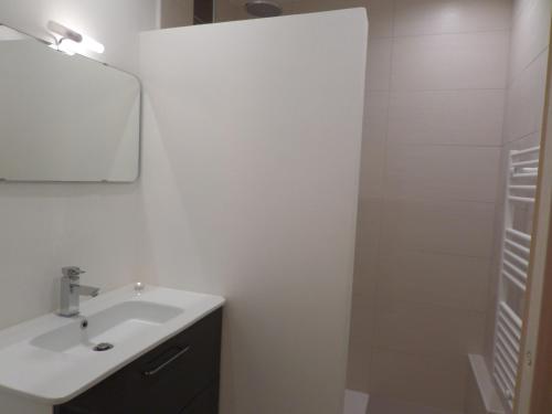 a bathroom with a sink and a mirror and a shower at Maison Palavas-les-Flots, 3 pièces, 7 personnes - FR-1-715-50 in Palavas-les-Flots