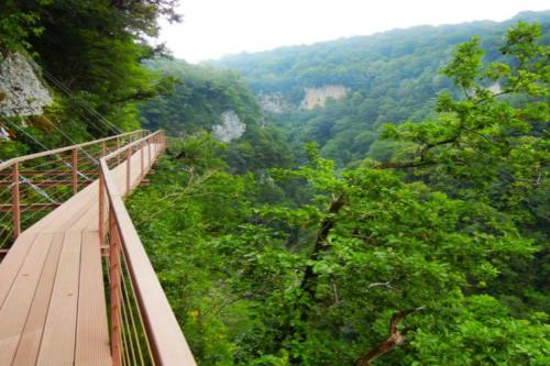 a wooden walkway with a view of a valley at Tskaltubo Plaza Hotel in Tskaltubo