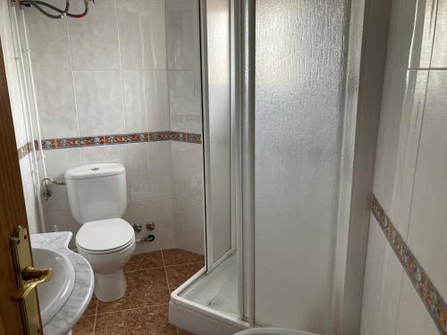 La petite salle de bains est pourvue d'une douche et de toilettes. dans l'établissement La Casa de Paco el Ventero Los Bolillos, à Almócita