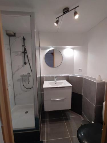 une salle de bain avec un lavabo, une douche et un miroir dans l'établissement maison Valras Plage - Résidence Lou Portalou, à Valras-Plage