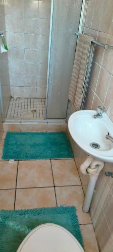 a bathroom with a shower and a toilet and a sink at The Homestead Richardsbay in Richards Bay