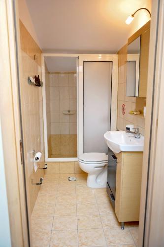 a bathroom with a shower and a toilet and a sink at Harmony Villa in Kalymnos