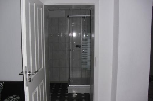 a shower with a glass door in a bathroom at mecklenburgerseenplatt 2 in Teschendorf