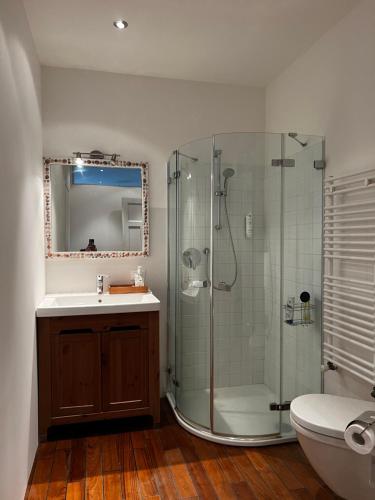 een badkamer met een douche, een wastafel en een toilet bij Bolzano with a view in Bolzano