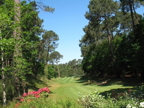 Photo de la galerie de l'établissement Villa Biscarrosse Golf, 8 pers, piscine chauffée, jardin - FR-1-319-508, à Biscarrosse