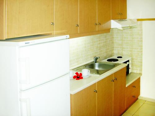 a small kitchen with a sink and a stove at Mat Old Town Apartments L in Rethymno