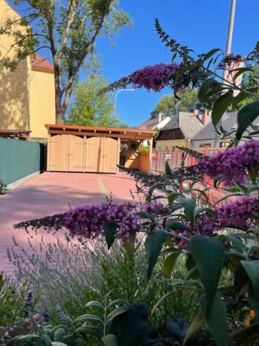 a garden with purple flowers in front of a pavilion at Apartmány Bašta & Wellness in Sušice