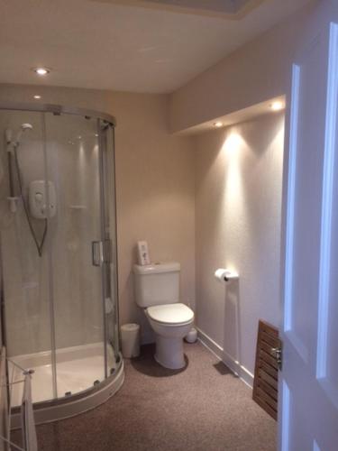 a bathroom with a toilet and a glass shower at Ardmuir in Turriff