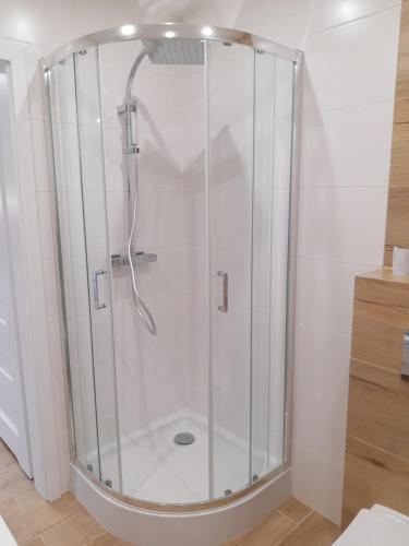 a shower with a glass door in a bathroom at Przytulny Apartament na Strzeleckiej in Płock