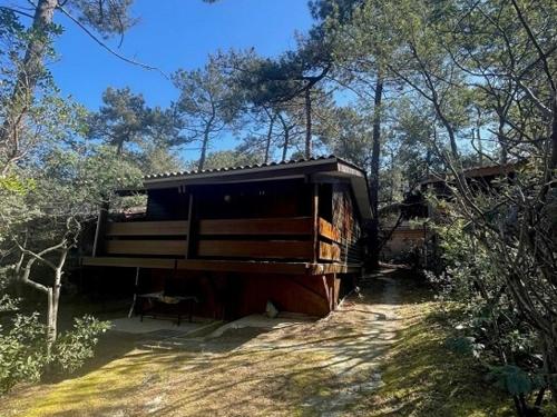 Chalet Carcans-Maubuisson, 2 pièces, 6 personnes - FR-1-648-115