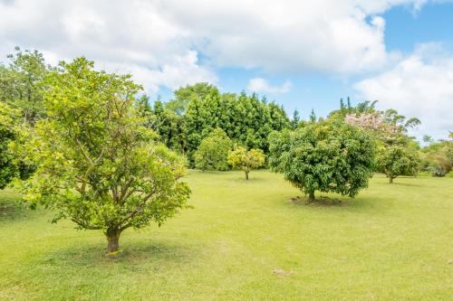 Zahrada ubytování Off-Grid Getaway with Ocean Views in Paradise
