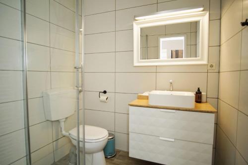 a bathroom with a toilet and a sink and a mirror at Ferienhus Baabe FeWo 01 Terrasse, Sauna- und Schwimmbadnutzung im AHOI Sellin in Baabe