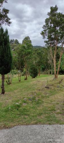 pole trawy z drzewami w tle w obiekcie Casa completa Puerto Montt w mieście Puerto Montt