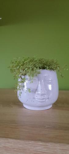 a white vase with a green plant in it at Downtown Labin in Labin