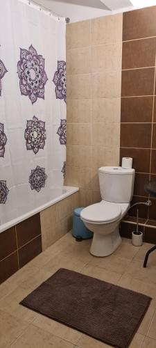 a bathroom with a toilet and a bath tub at Galini Apartments in Litochoro