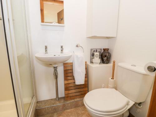 bagno bianco con servizi igienici e lavandino di 6 Stad Yr Ysgol a Blaenau Ffestiniog