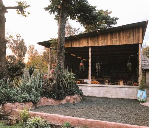 Сад в Charming Eco-Homestay near Kilimanjaro International Airport