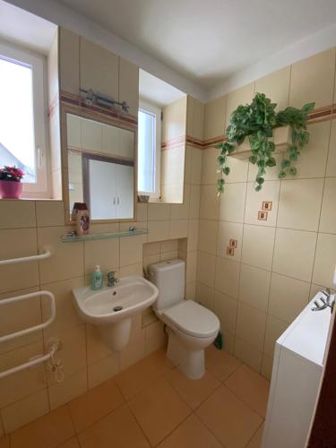Phòng tắm tại Rodinný apartmán 3+1 (65 m² ) v plném vybavení se nachází v krásné vesničce Horní Město na úpatí hor v oblasti Jeseníků