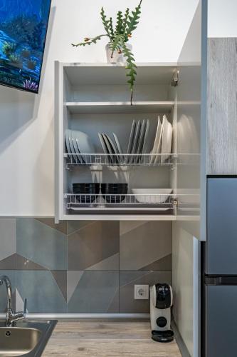 a kitchen with a shelf with plates and a plant at Exquisite studio apartment with an original design in Valencia