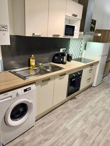 une cuisine avec un évier et une machine à laver dans l'établissement Maison 3 chambres - 600m Métro Marbrerie - Lille, à Mons-en-Baroeul